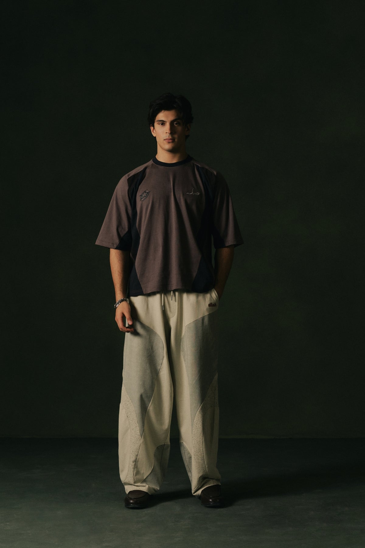 Daira Paneled Graphic Tee (Brown)